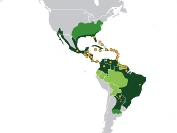 பிரேசில்