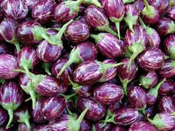 விலைப்பட்டியல் (1 கிலோ):