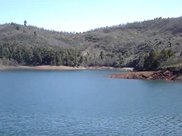 பேராசிரியர் மோகனகிருஷ்ணன் குழு பேராசிரியர் மோகனகிருஷ்ணன் குழு