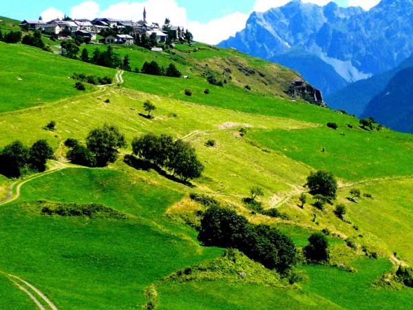 பிறப்பு விகிதம் குறைவு... பிறப்பு விகிதம் குறைவு...