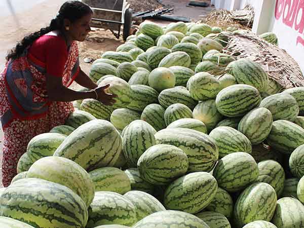 சூடு பிடித்த விற்பனை