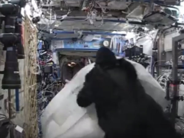 இறுக்கமான வாழ்க்கை...