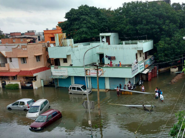 ஜாக்குவார்...