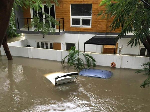 பலத்த சேதம்...