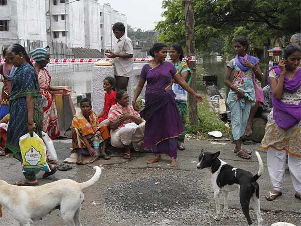 பட்டதாரிகள் 0.2 சதவீதம்