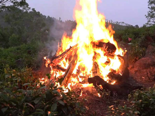 Female tiger found dead in tea estate