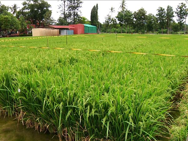 விளை நிலத்தில் ஹெலிபேட்