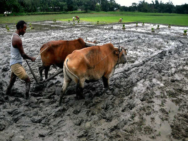 பாடம் புகட்டுவோம்