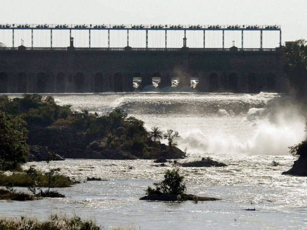 TN farmers prepare for a long summer as KRS water level dips further TN farmers prepare for a long summer as KRS water level dips further