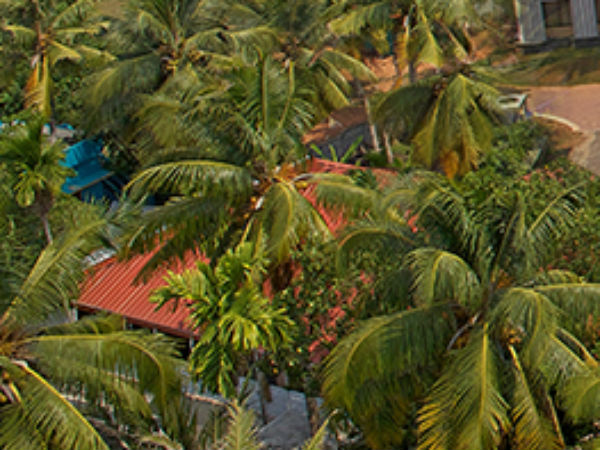 கோடை விடுமுறை