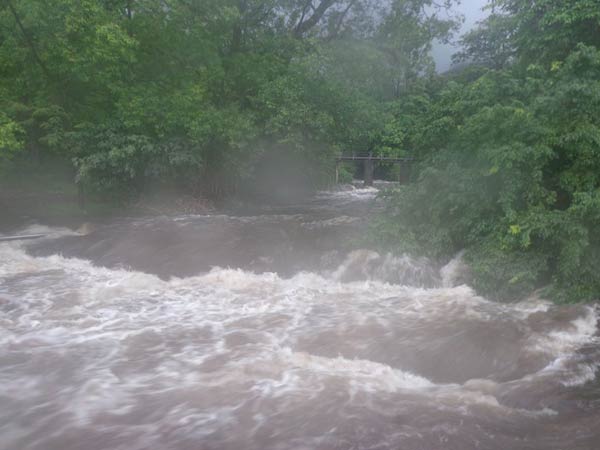Rains bring relief from scorching heat in Tamil Nadu