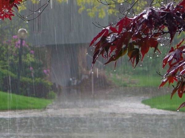 விடிய விடிய மழை