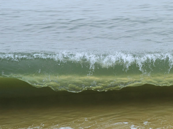 தூண்டில் வளைவுகளை தாண்டி கடலலை: