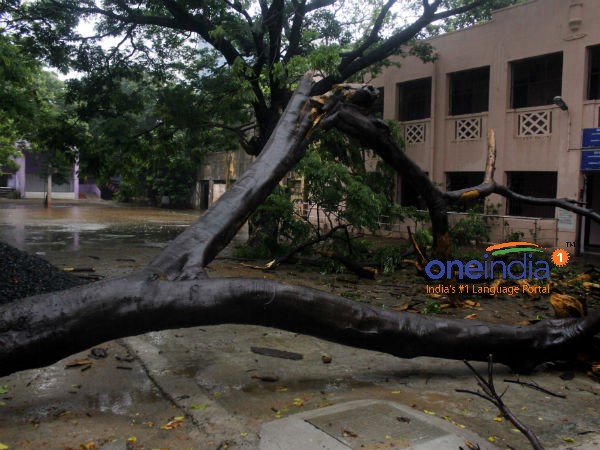 வெள்ளம் வருமோ?