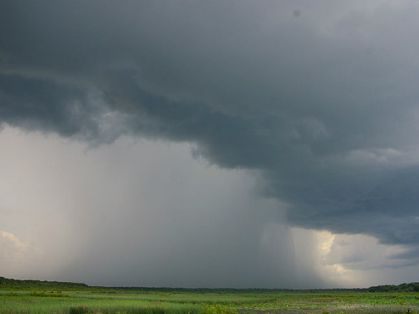 South west monsoon arrives in Kerala