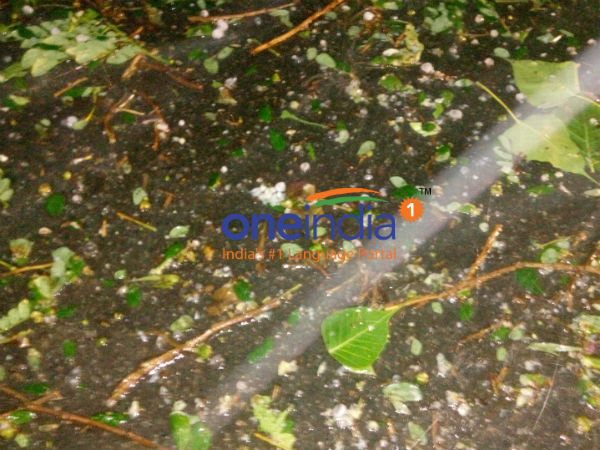 சாக்கடை