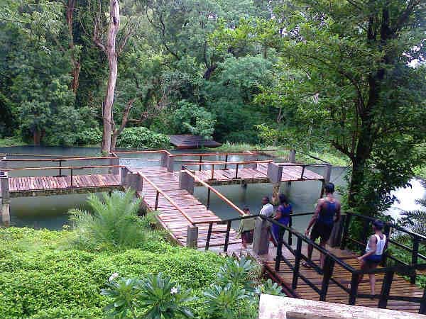 Bad condition in Tamil Nadu’s biggest eco-park Bad condition in Tamil Nadu’s biggest eco-park