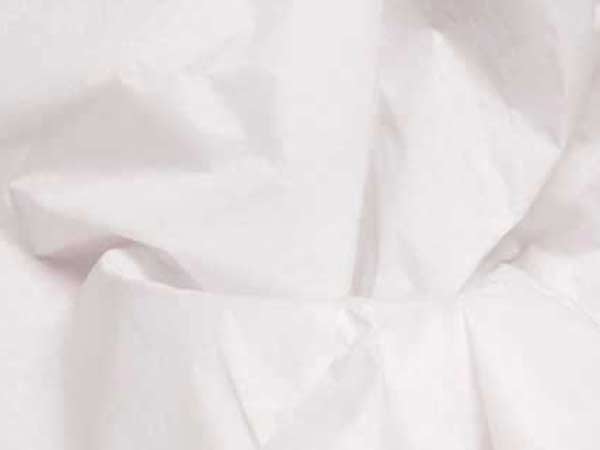 பேப்பர் உள்ளாடைகள்