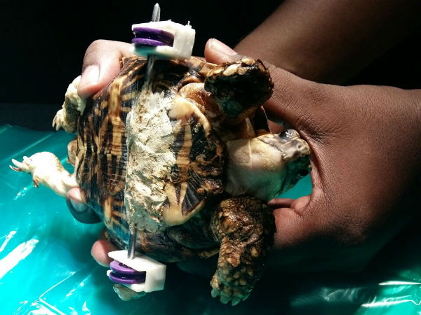 ஆமை ஹேப்பி அண்ணாச்சி...