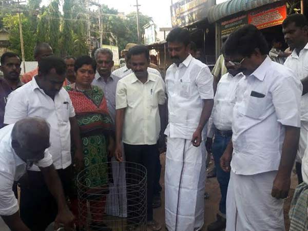 Manamadurai will become green city