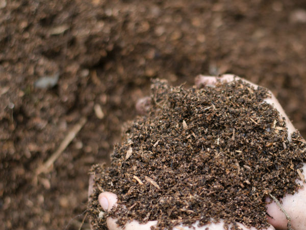 களிமண்...