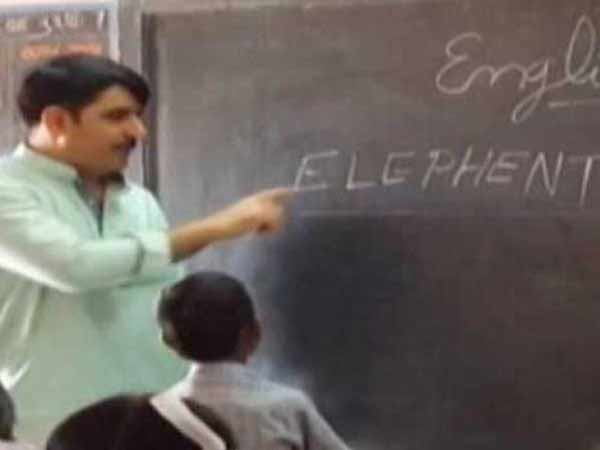 எலிபென்ட்