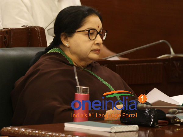 பால் பவுடர் தொழிற்சாலை 