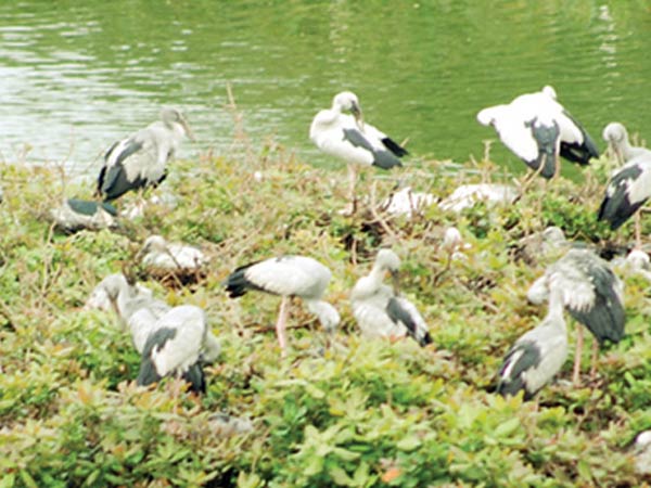 பராமரிப்பு பணிகள்...