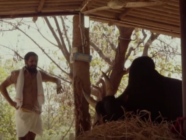துரத்தும் கேள்விகள் துரத்தும் கேள்விகள்