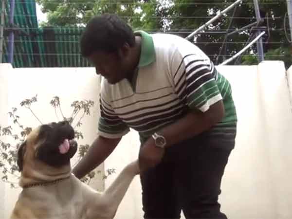 நாய் வளர்க்கும் பிரபாகரன் நாய் வளர்க்கும் பிரபாகரன்