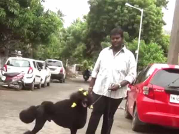 ரூ6 லட்சம் மதிப்பிலான நாய்... ரூ6 லட்சம் மதிப்பிலான நாய்...