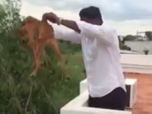 உயிரோடு மீட்பு