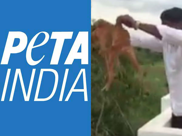 நாய் இருந்தால் என்ன செத்தால் என்ன! 