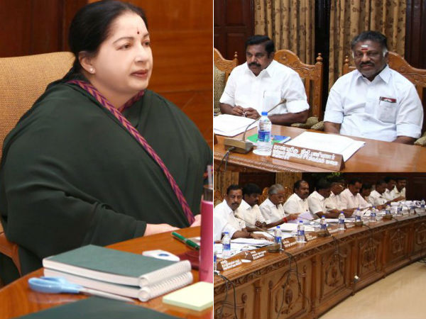 உள்ளாட்சித்துறையில் பணி