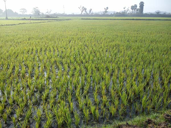 15 மாவட்டங்களில் குறைவு