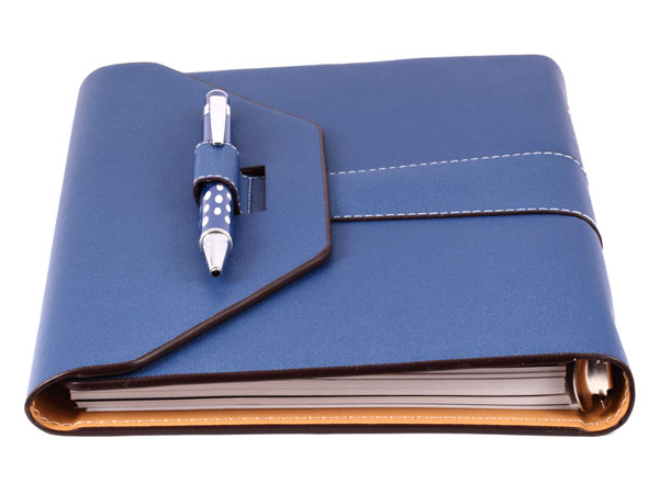 ரகசிய டைரி