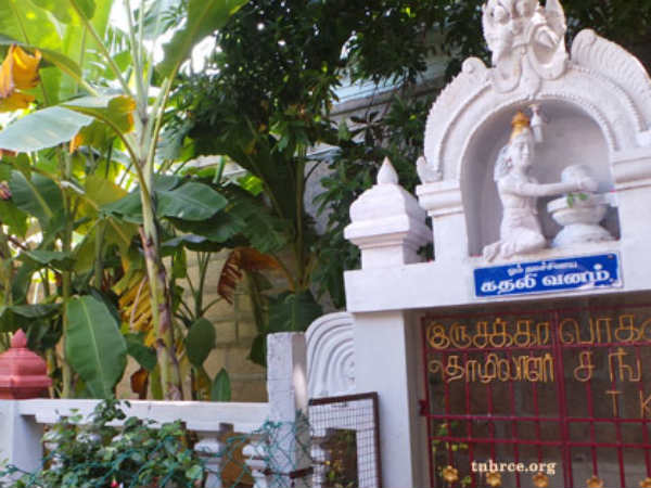 சங்கு பிறக்கும் ஆண்டு