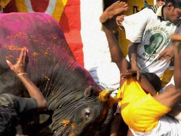 பாரம்பரிய நடைமுறையில் அனுமதிக்க வேண்டும்