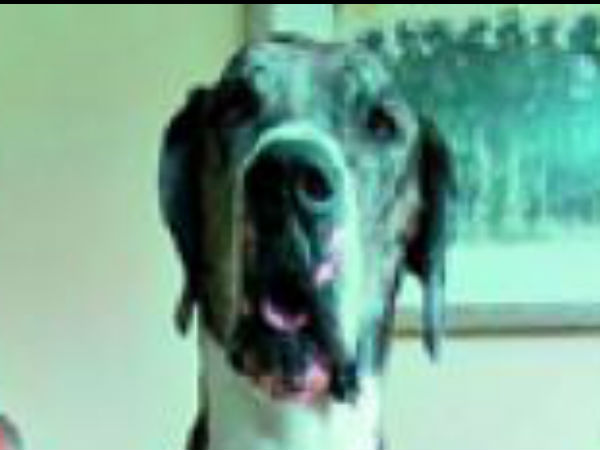 7 வயதுக் குழந்தையின் உயரம்