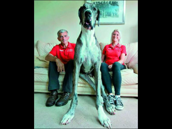 கின்னஸ் சாதனை