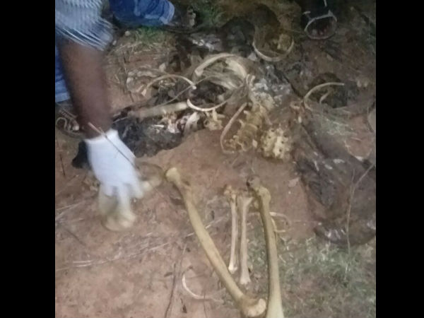  தீவிர விசாரணையில் போலீஸார்