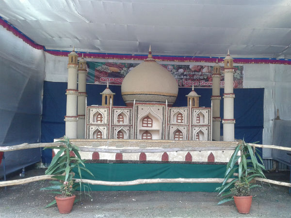 சுற்றுலாப் பயணிகள் ஆர்வம்... சுற்றுலாப் பயணிகள் ஆர்வம்...