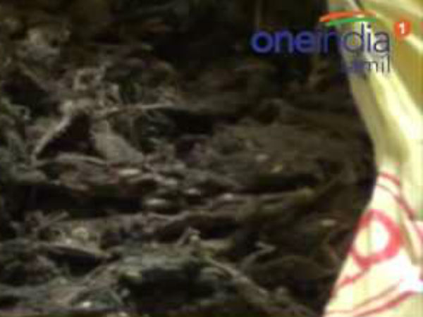 நவீன ரூட்டுகளில்