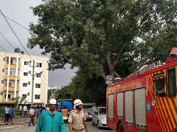 Rain lashes Bangalore city again since Saturday afternoon Rain lashes Bangalore city again since Saturday afternoon