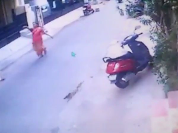 கோலம் போட்ட பெண்