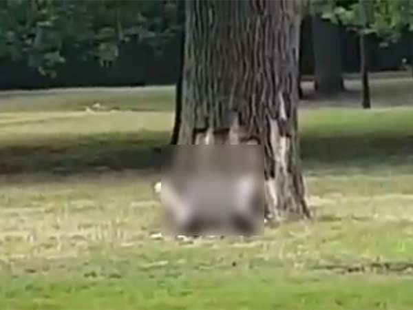  முழுசாக முடித்து விட்டுத்தான்