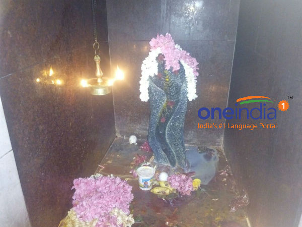 நாக தோஷம் நாக தோஷம்