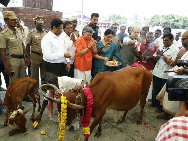 பசுவின் பயன்கள்... 