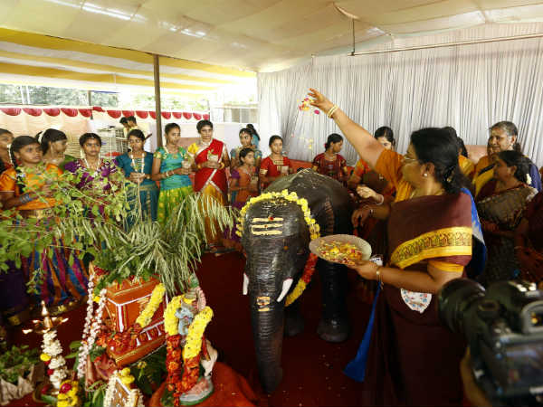 துளசியின் மகத்துவம்... 