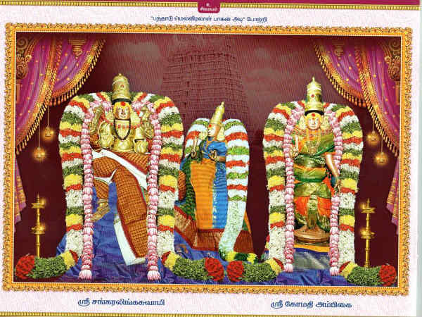 சங்கரநாராயணராக காட்சி